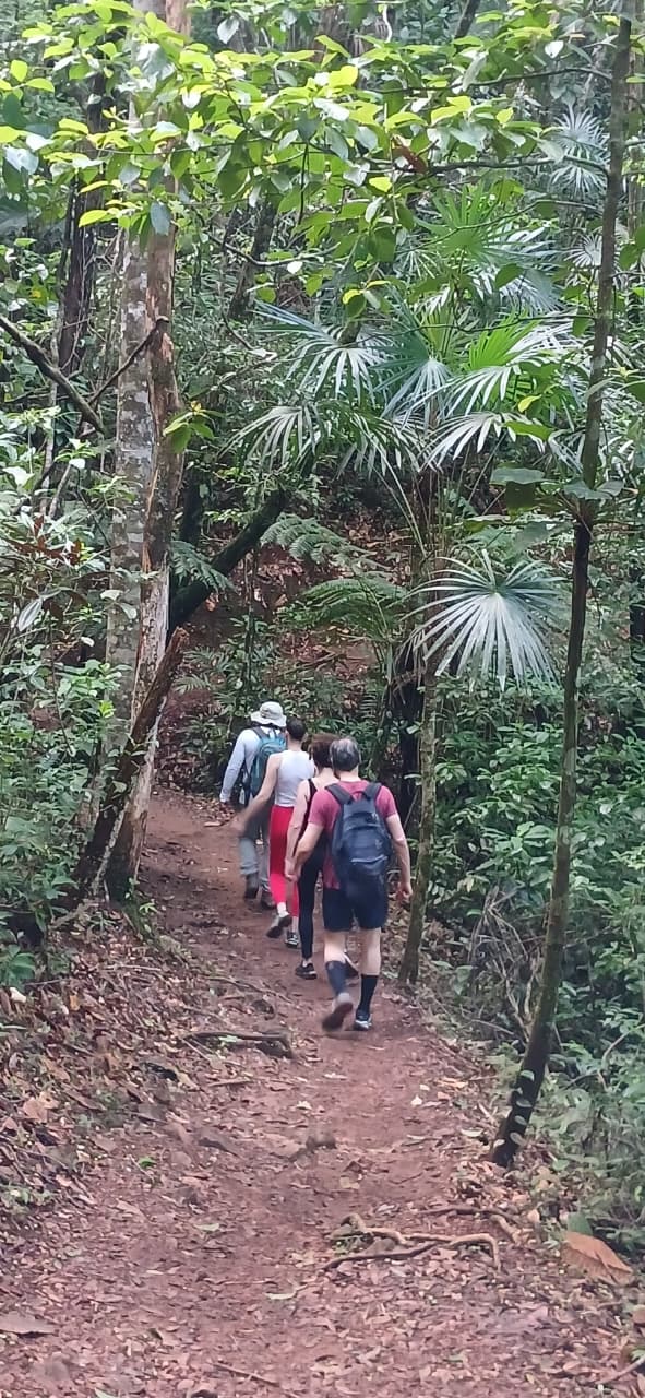Cockscomb Basin Wildlife Sanctuary & Chocolate Making Tour | Mayaway Tours cockscomb basin wildlife sanctuary belize (10)