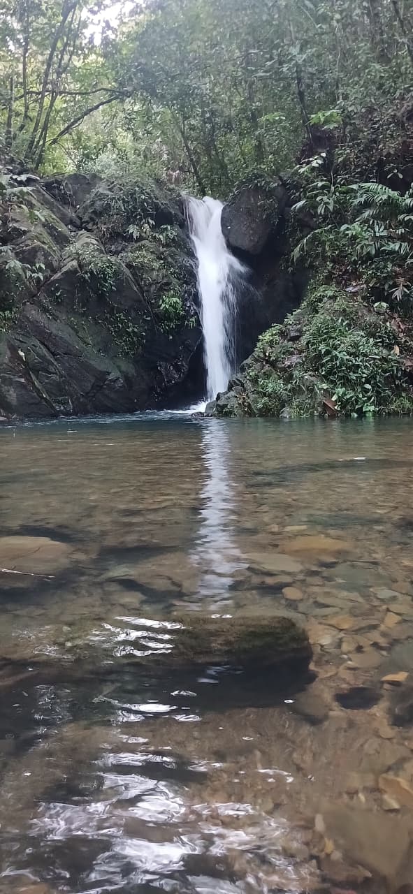 Cockscomb Basin Wildlife Sanctuary & Chocolate Making Tour | Mayaway Tours cockscomb basin wildlife sanctuary belize (11)