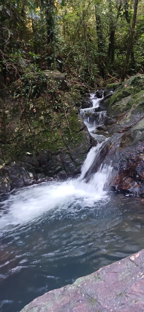 Cockscomb Basin Wildlife Sanctuary & Chocolate Making Tour | Mayaway Tours cockscomb basin wildlife sanctuary belize (12)