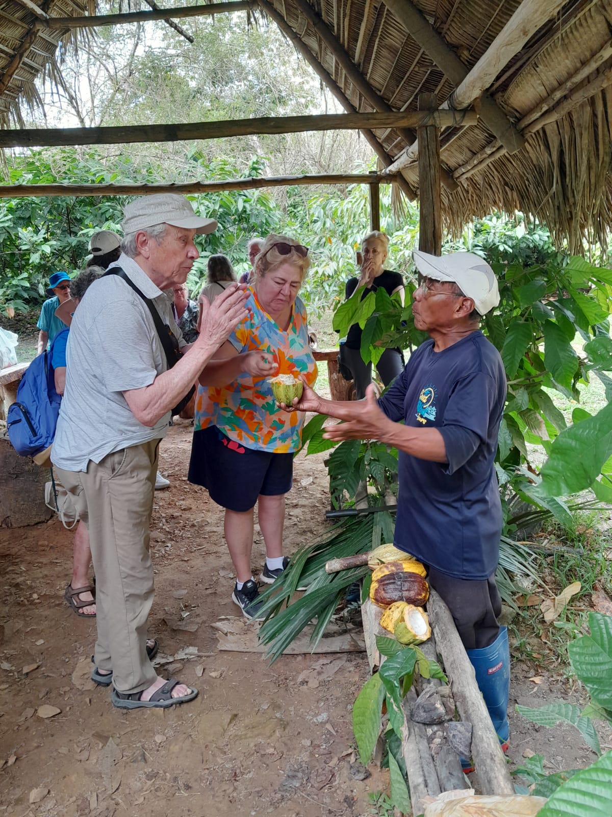 Cockscomb Basin Wildlife Sanctuary & Chocolate Making Tour | Mayaway Tours cockscomb basin wildlife sanctuary belize (3)